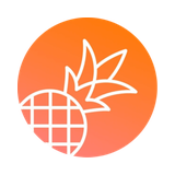 pineapplebuilder.com icon